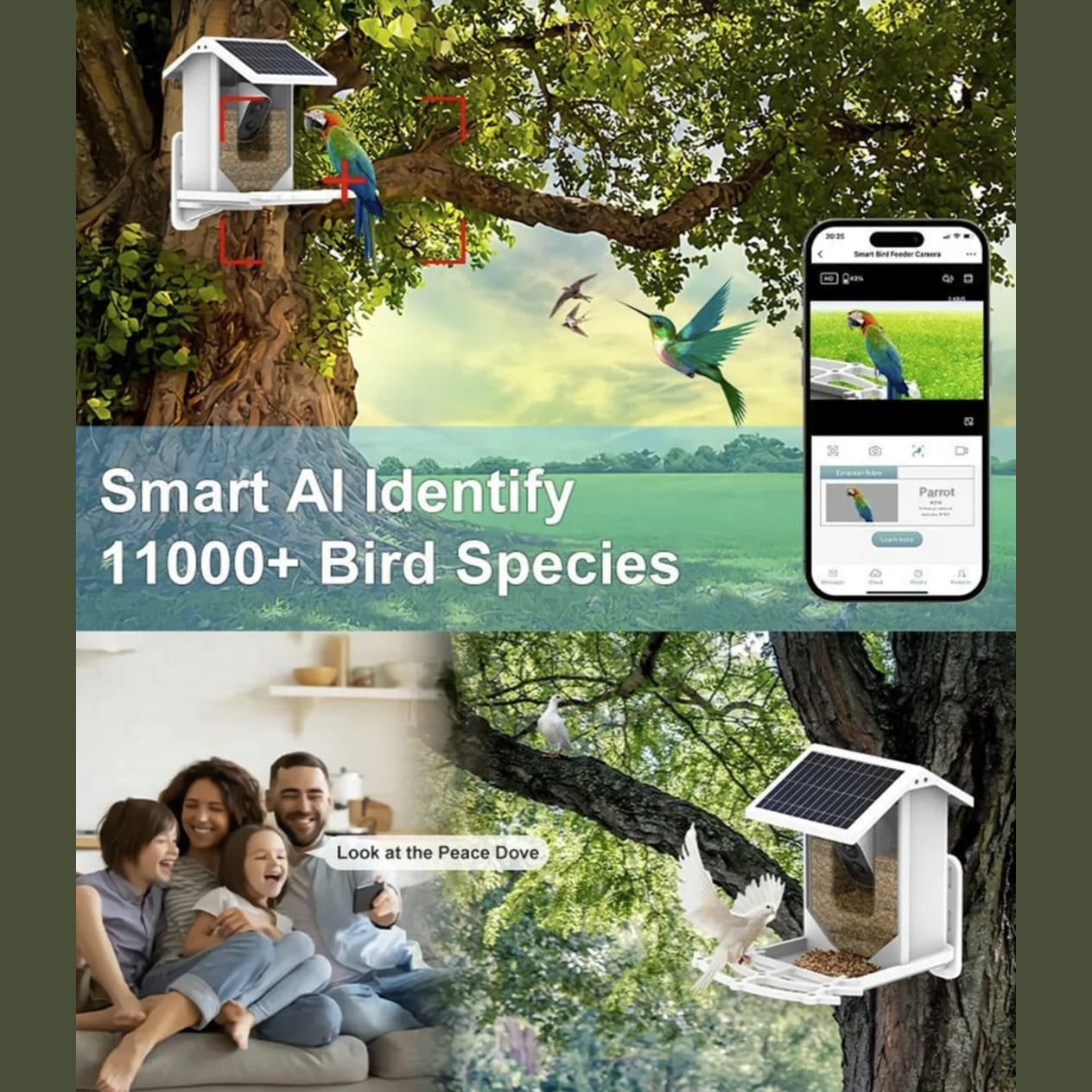 Smart Home Bird Feeder with AI Camera, WiFi, HD Video & Two-Way Audio 2 view