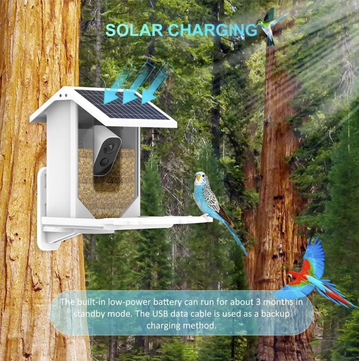 Smart Home Bird Feeder with AI Camera, WiFi, HD Video & Two-Way Audio 3 view