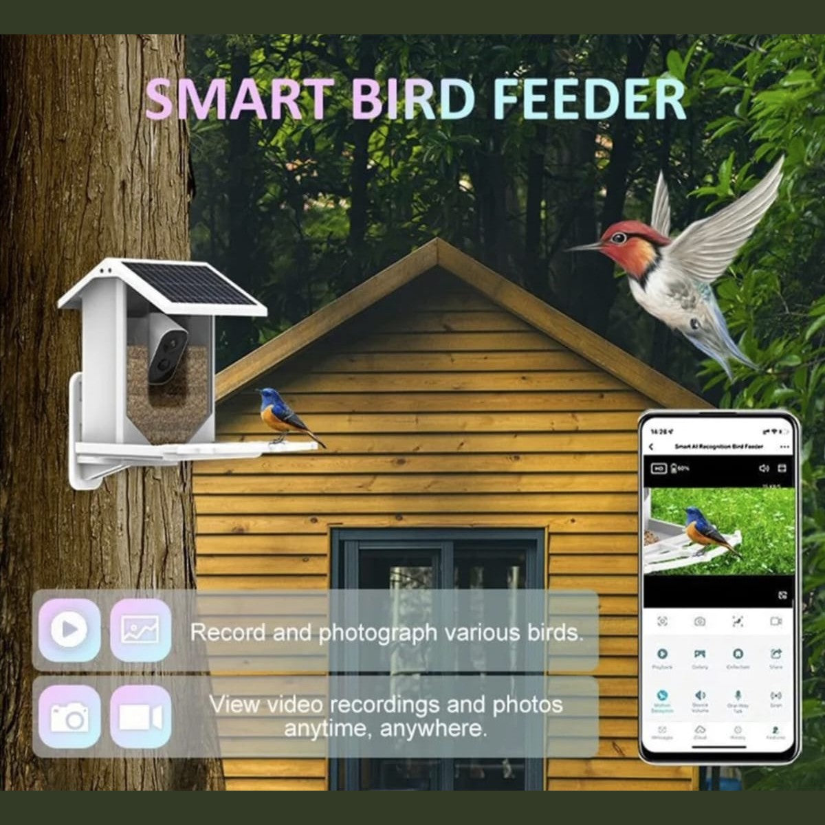 Smart Home Bird Feeder with AI Camera, WiFi, HD Video & Two-Way Audio 5 view