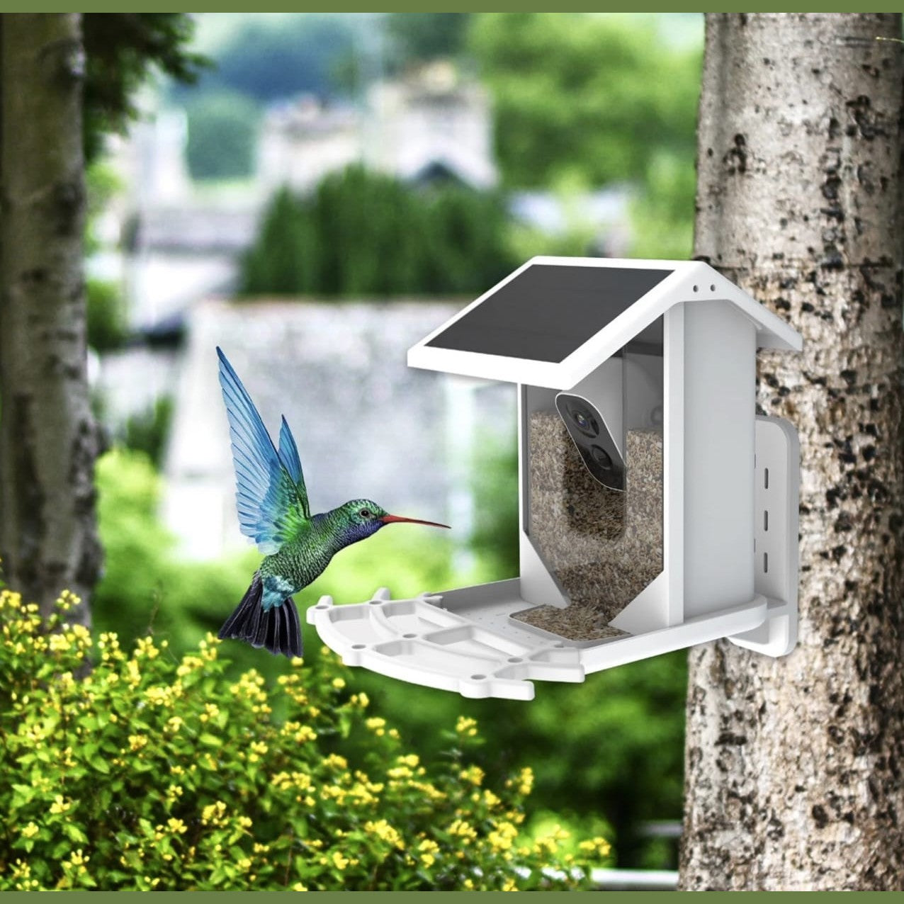 Smart Home Bird Feeder with AI Camera, WiFi, HD Video & Two-Way Audio 1 view